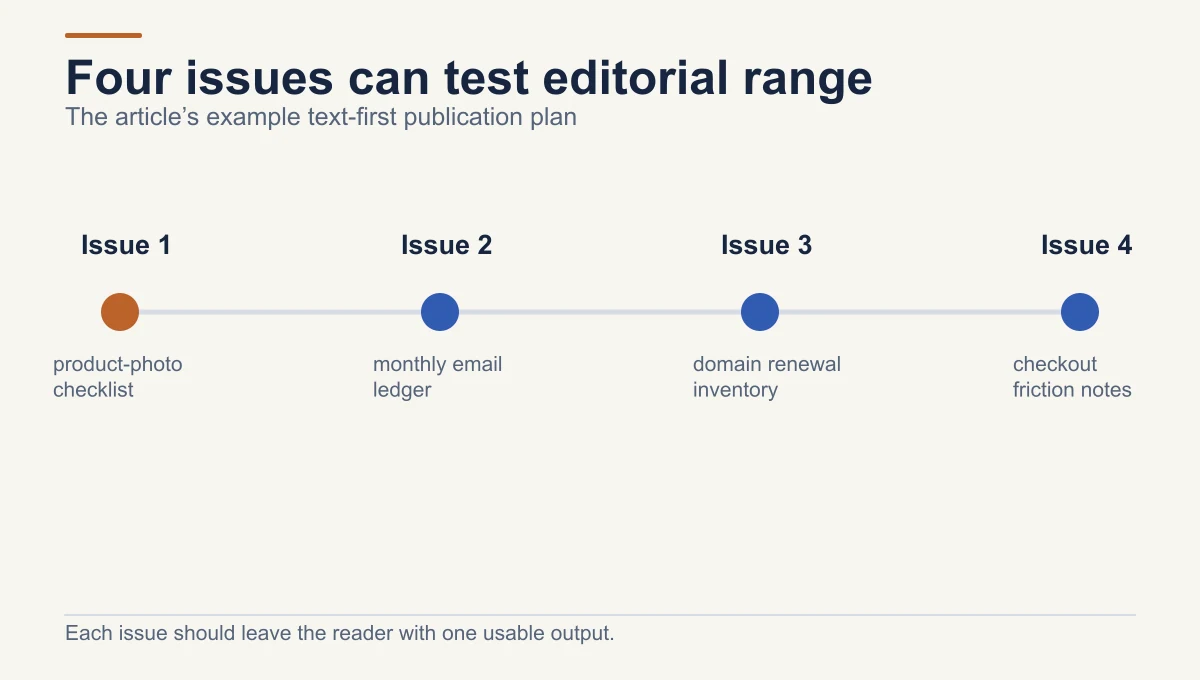 An illustrative text-first newsletter plans four distinct issues: a product-photo checklist, an email-send ledger, a domain-renewal inventory, and checkout-friction notes.